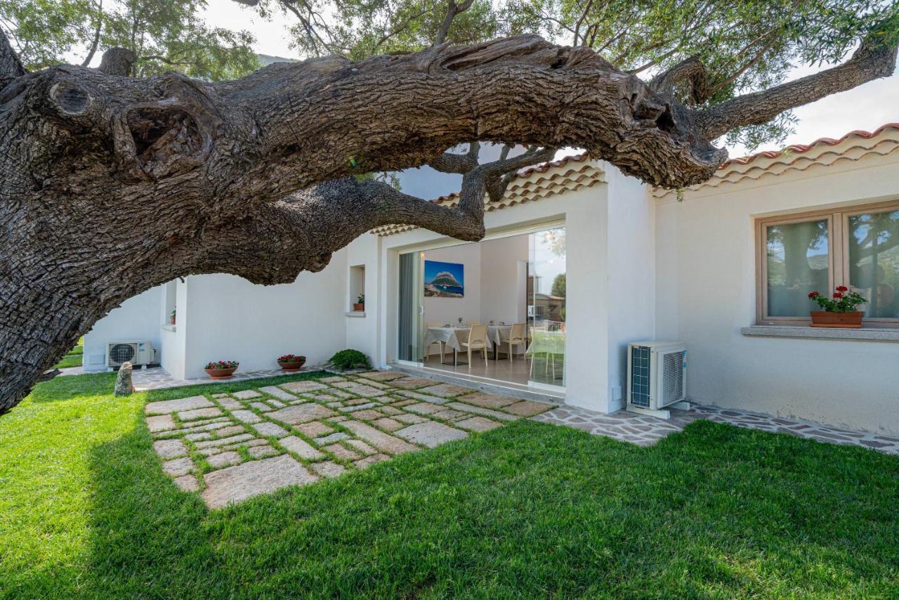 Hotel Residenza L'Alzoni San Teodoro  Exterior foto